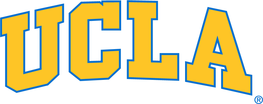 UCLA Bruins 1996-2017 Wordmark Logo diy iron on heat transfer...